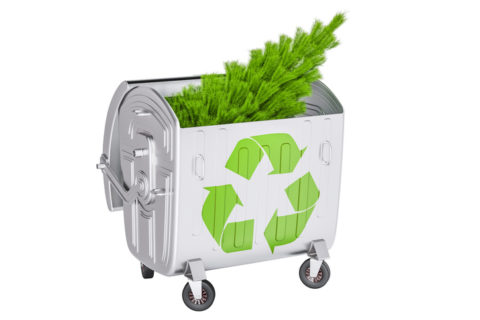 Christbaum Abholaktion