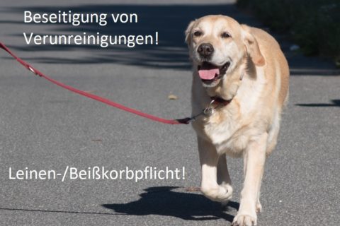 Hundehaltungverordnung