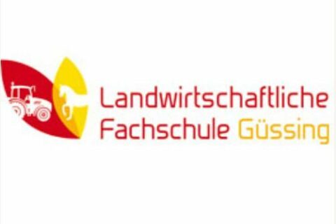 Lfs Guessing Logo
