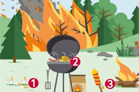 Waldbrandgefahr